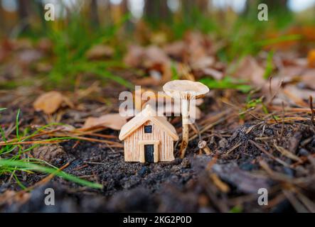 Figurina casa in legno miniatura posto sotto un fungo nel bosco, fuoco selettivo. Foto Stock