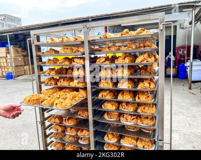 Ciambelle di zucchero di canna cotte al vapore appena sfornate in lotti da una fabbrica di lavorazione degli alimenti Foto Stock