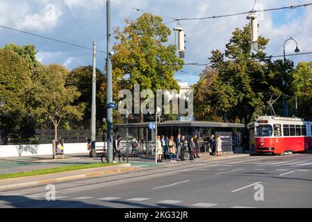 Tram su Burgring a Vienna, Austria Europa UE Foto Stock