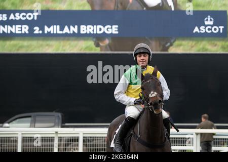 Ascot, Berkshire, Regno Unito. 19th Novembre 2022. Jockey Lorcan Williams vincitore dell'Ebony Horse Club Novice's Limited handicap Steeple Chase a cavallo Ponte di Milano allenato da Paul Nicholls, che è stato l'unico corridore in quanto gli altri quattro cavalli sono stati ritirati a causa delle condizioni del terreno dopo l'impatto dell'ondata di caldo estate. Jockey Lorcan ha appena dovuto fare una passeggiata sul traguardo per essere incoronato il vincitore. L'ultima passeggiata ad Ascot risale a 39 anni fa, il 19th novembre 1983, quando il cavallo Rosa Ruler ha superato il traguardo nell'ostacolo per disabili di Snow Hill. Credito: Maureen McLean/Alamy Foto Stock