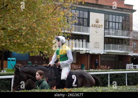 Ascot, Berkshire, Regno Unito. 19th Novembre 2022. Jockey Lorcan Williams vincitore dell'Ebony Horse Club Novice's Limited handicap Steeple Chase a cavallo Ponte di Milano allenato da Paul Nicholls, che è stato l'unico corridore in quanto gli altri quattro cavalli sono stati ritirati a causa delle condizioni del terreno dopo l'impatto dell'ondata di caldo estate. Jockey Lorcan ha appena dovuto fare una passeggiata sul traguardo per essere incoronato il vincitore. L'ultima passeggiata ad Ascot risale a 39 anni fa, il 19th novembre 1983, quando il cavallo Rosa Ruler ha superato il traguardo nell'ostacolo per disabili di Snow Hill. Credito: Maureen McLean/Alamy Foto Stock