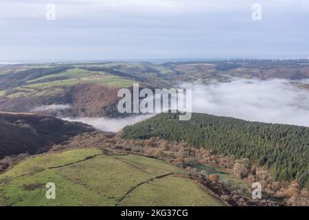Veduta aerea della silvicoltura di conifere Sitka e inversione di temperatura nella valle di Cothi, Carmarthenshire, Galles, Regno Unito. Le conifere verdi dense Foto Stock