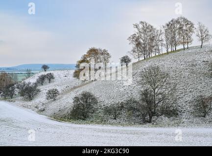 20 novembre 2022, Brandeburgo, Libbenichen: Sulle colline ai margini dell'Oderbruch si trova una piccola neve. Foto: Patrick Pleul/dpa Foto Stock