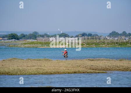 Pesca a mosca nelle idilliache acque di Pagham Harbour nel Sussex occidentale con una colonia di terna sullo sfondo Foto Stock