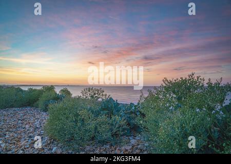 Un sole che sorge svanisce una nuova giornata sulla spiaggia di Church Norton, Pagham con sfumature pastello nel cielo e verde vegetazione in primo piano. Foto Stock