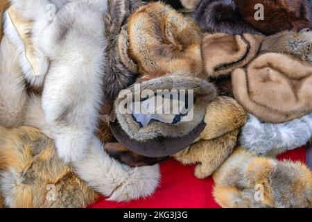 Cappelli e scafi in pelliccia di animale reale Accessori da donna di moda invernale Foto Stock