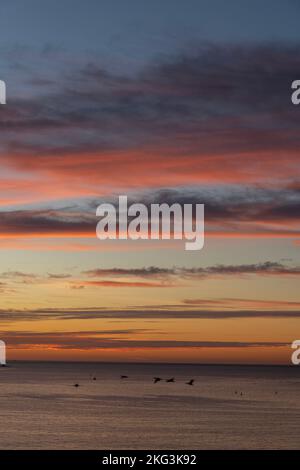 Alba a Port la Seyne-sur-Mer, Tolone Francia Foto Stock