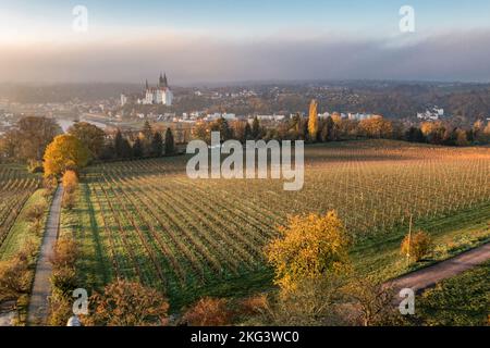 Vista aerea sul vigneto di Proschwitz e sul fiume Elba fino alla città di Meissen con il castello di Albrechtsburg , alba in autunno, Germania Foto Stock