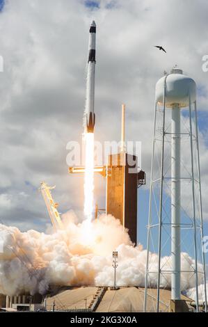 SpaceX Crew-5 Liftoff, camma a distanza n. 8. Il razzo Falcon 9 di SpaceX, con la navicella spaziale Dragon Endurance in cima, si solleva dal Kennedy Space Center Launch Complex 39A della NASA in Florida il 5 ottobre 2022, con il lancio dello SpaceX Crew-5. All'interno di Endurance ci sono gli astronauti della NASA Nicole Mann, comandante; Josh Cassada, pilota; e gli specialisti della missione Koichi Wakata, della JAXA (Japan Aerospace Exploration Agency), e il cosmonauta Roscosmo Anna Kikina. L'equipaggio si dirige verso la Stazione spaziale Internazionale per una missione di spedizione scientifica nell'ambito del programma Commercial Crew dell'agenzia. Il liftoff si è verificato a mezzogiorno Foto Stock