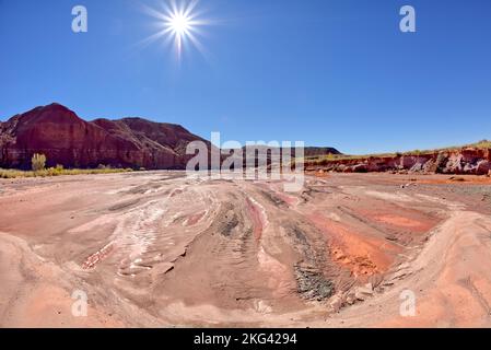 Affondare le sabbie nella foresta pietrificata, Arizona Foto Stock