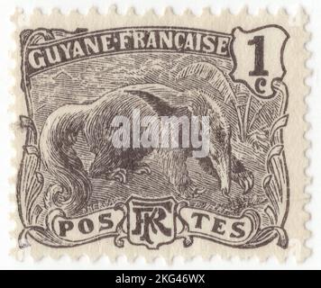 GUIANA FRANCESE - 1905: Un francobollo nero di 1 centesimi raffigurante il gigante Anteater (Myrmecophaga tridactyla) è un mammifero insettivoro nativo dell'America Centrale e del Sud. È una delle quattro specie viventi di anteaters, di cui è il membro più grande. L'unico membro estinguente del genere Myrmecophaga, è classificato con gli slots nell'ordine Pilosa. Questa specie è per lo più terrestre, in contrasto con altri anteaters viventi e slots, che sono arboreal o semiarboreal Foto Stock