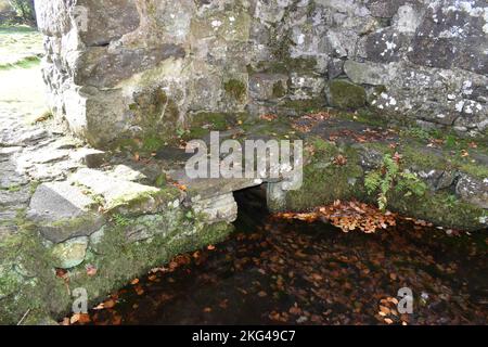 Pozzo Santo di St Cybi, Penisola di Llyn, Galles del Nord - Camera del pozzo Foto Stock