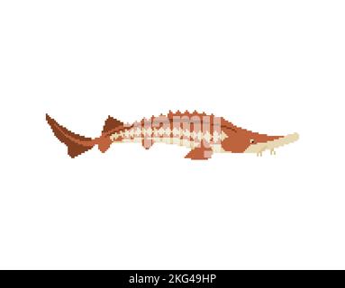 Sturgeon pixel art. 8 bit fish sign. Illustrazione vettoriale pixelata Illustrazione Vettoriale