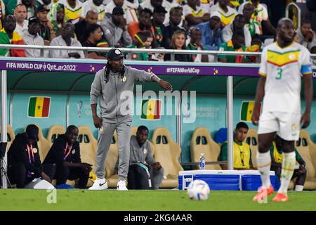 DOHA, QATAR - 21 NOVEMBRE: Allenatore del Senegal Aliou Cisse allenatore dei suoi giocatori durante il Gruppo A - Coppa del mondo FIFA Qatar 2022 partita tra Senegal e Paesi Bassi al Thumama Stadium il 21 novembre 2022 a Doha, Qatar (Foto di Pablo Morano/BSR Agency) Foto Stock