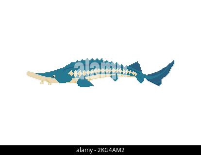 Sturgeon pixel art. 8 bit fish sign. Illustrazione vettoriale pixelata Illustrazione Vettoriale