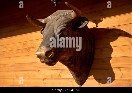 Testa di toro su una parete di legno. scultura decorativa. Foto Stock