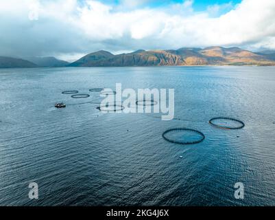 Acquicoltura reti di allevamento di mare contenenti pesce per il mercato alimentare Foto Stock