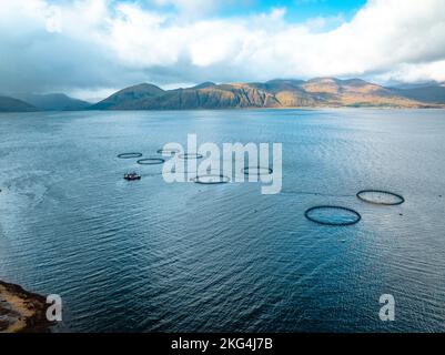 Acquicoltura reti di allevamento di mare contenenti pesce per il mercato alimentare Foto Stock