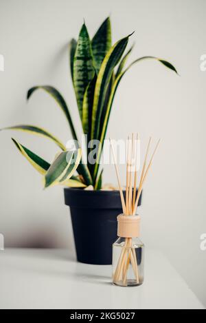 Barrette aromatiche in bottiglia di vetro. Bastoncini di legno in una beuta di vetro Foto Stock