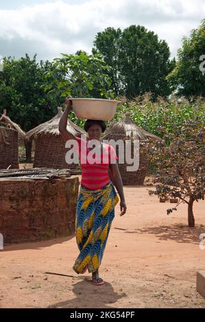 Cortile africano, Adjahonme, Couffo, Benin - donna che porta l'acqua sulla sua testa; capanne di fango e altre strutture, alberi e mais dietro. Foto Stock