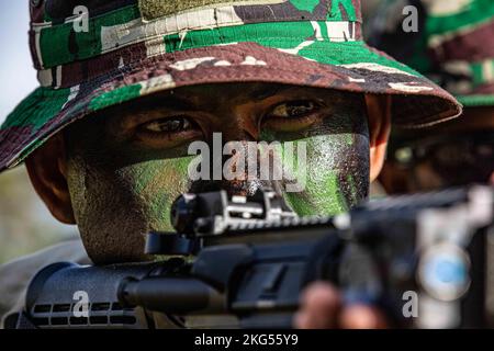 Un soldato della Società di squadra di manovra, assegnato all'esercito indonesiano Tentara Nazionale Indonesia Angkatan Darat (TNI-ad) 127th Batallion, si concentra su un obiettivo durante un esercizio al Joint Pacific Multinational Readiness Center Rotation (JPMRC) 23-01 presso Schofield Barracks, Hawaii, 30 ottobre 2022. Le truppe dell'esercito indonesiano TNI-ad e della Brigata di assistenza delle forze di sicurezza 5th lavoreranno di pari passo durante la durata del JPMRC per ricevere una formazione realistica e rafforzare le relazioni tra gli Stati Uniti e le altre forze partner in tutto l'Indo-Pacifico Foto Stock