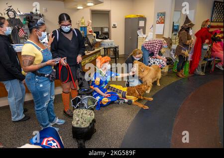 Il WRNMMC Facility Dogs ha celebrato Halloween il 31 ottobre 2022 al Walter Reed National Military Medical Center vestendo e visitando il centro medico, salutando brevetti, visitatori e personale. Alla fine arrivarono al Military Advance Training Center (MATC) situato nella zona America (Bldg. 19) dove hanno salutato i pazienti e il personale che si è vestito anche per l'occasione. SPC dell'esercito. Jake Simmons, vestito come LT Dan da “Forest Gump”, passò un po’ di tempo di qualità con Sully, vestito come Capitano America. Marine Sgt. Tyler Vargas-Andrews vestito come cavaliere Jedi (non ha detto quale Foto Stock