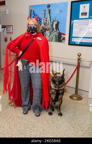 Il WRNMMC Facility Dogs ha celebrato Halloween il 31 ottobre 2022 al Walter Reed National Military Medical Center vestendo e visitando il centro medico, salutando brevetti, visitatori e personale. Alla fine arrivarono al Military Advance Training Center (MATC) situato nella zona America (Bldg. 19) dove hanno salutato i pazienti e il personale che si è vestito anche per l'occasione. SPC dell'esercito. Jake Simmons, vestito come LT Dan da “Forest Gump”, passò un po’ di tempo di qualità con Sully, vestito come Capitano America. Marine Sgt. Tyler Vargas-Andrews vestito come cavaliere Jedi (non ha detto quale Foto Stock