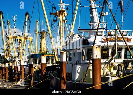 Navi da pesca nel porto di Oudeschild Texel, Paesi Bassi. Visserschepen in de haven van Oudeschild Texel. Foto Stock