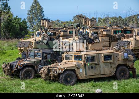 Soldati dell'esercito degli Stati Uniti da 2nd battaglione, 11th reggimento dell'artiglieria di campo, 25th divisione di fanteria, conduce le operazioni del convoglio sui campi di addestramento di Pohakuloa, Hawaii, 31 ottobre 2022. Joint Pacific Multinational Readiness Center 23-01 è una rotazione di formazione realistica ci permette di provare il movimento strategico, e addestrare in ambienti e condizioni uniche in cui è più probabile che siano impiegati in caso di crisi o conflitto. Foto Stock