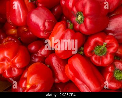 Primo piano del peperone, vista dall'alto del peperone, peperoni freschi di agricoltori locali, prodotti biologici, prodotti del supermercato Foto Stock