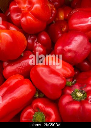 Primo piano del peperone, vista dall'alto del peperone, peperoni freschi di agricoltori locali, prodotti biologici, prodotti del supermercato Foto Stock