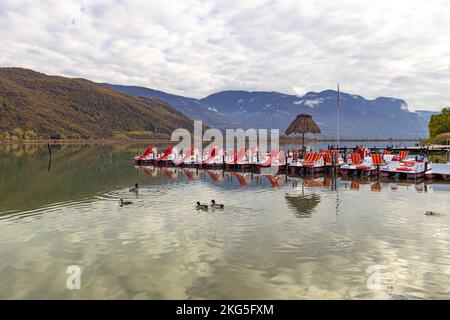 Caldaro, Alto Adige, Italia -14 novembre 2022 Mallards maschili e femminili (Anas platyrhynchos) visto in autunno sul lago di Caldaro, un lago balneabile naturale Foto Stock