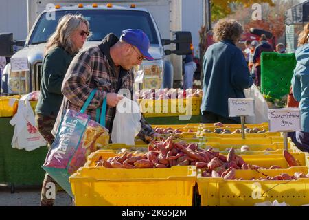 Clienti al Farmers Market, Oak Park, Illinois. Foto Stock