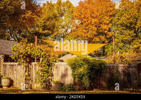 Ottobre ombra giallo dorato vela sul giardino recintato o zona festa con la vite ad arco entrata coperta con fiori in vaso e sfondo foglie d'autunno Foto Stock