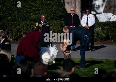 Washington, Stati Uniti. 21st Nov 2022. Cacciatore Biden e suo figlio Beau salutano i tacchini prima del perdono tacchino. Il presidente Biden ha partecipato alla tradizione annuale di perdonare una turchia sul prato meridionale della Casa Bianca. Oltre a dire a molti scherzi del papà, Biden ha parlato dell'importanza del ringraziamento e dell'importanza di potere riunirsi come famiglia. Credit: SOPA Images Limited/Alamy Live News Foto Stock