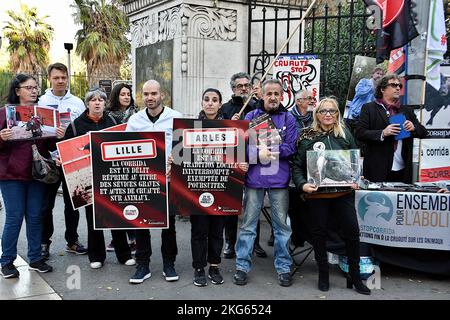 Marsiglia, Francia. 19th Nov 2022. I manifestanti sono in possesso di cartelli che esprimono la loro opinione durante la manifestazione. In attesa del dibattito all'Assemblea Nazionale il 24 novembre 2022, i manifestanti della corrida si sono riuniti a Marsiglia a sostegno del disegno di legge per abolire la corrida proposto dal vice di la France Insoumise (LFI) Aymeric Caron. Credit: SOPA Images Limited/Alamy Live News Foto Stock