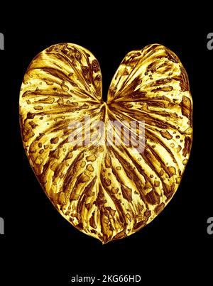 Gocce d'acqua foglia d'oro fondo nero isolato primo piano, foglie di pianta d'oro, fogliame giallo di metallo, illustrazione petalo, elemento decorativo di design Foto Stock