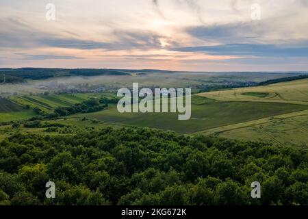 Vista aerea di verde scuro lussureggiante foresta con fitti alberi tettoie in estate Foto Stock