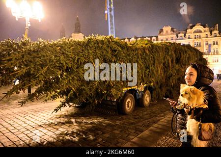 Praga, Repubblica Ceca. 22nd Nov 2022. Gli specialisti portano l'albero di Natale di Praga per l'installazione nella Piazza della Città Vecchia a Praga, Repubblica Ceca, il 22 novembre 2022. L'abete di Norvegia (Picea abies) è alto circa 25 metri e ha 58 anni. Credit: Roman Vondrous/CTK Photo/Alamy Live News Foto Stock