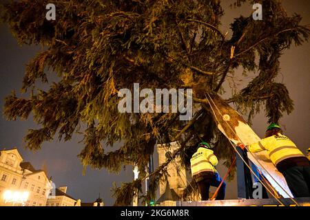 Praga, Repubblica Ceca. 22nd Nov 2022. Gli specialisti installano l'albero di Natale di Praga sulla Piazza della Città Vecchia a Praga, Repubblica Ceca, il 22 novembre 2022. L'abete di Norvegia (Picea abies) è alto circa 25 metri e ha 58 anni. Credit: Roman Vondrous/CTK Photo/Alamy Live News Foto Stock