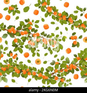 Rami di albicocca con frutti maturi. Pianta da giardino con raccolto commestibile. Composizione di pattern senza giunture. Ramo con fogliame e foglie. Isolato Illustrazione Vettoriale