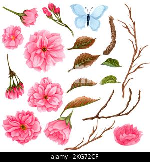 Acquerello di fiori sakura. Fiori rosa primaverili di alberi da frutto. Illustrazione botanica disegnata a mano di una sakura, ciliegia. Foto Stock