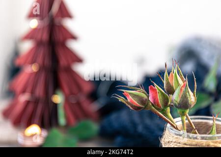 Primo piano, piccole rose aperte su sfondo sfocato. Foto Stock