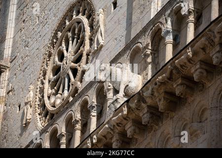 Basilica di San Rufino Gargoyle. Assisi, Umbria. Italia Foto Stock