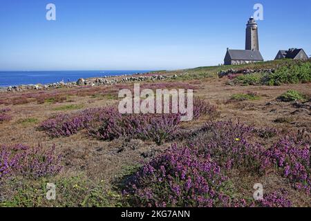 Francia, la Manche Fermanville, il Capo Lévi, il faro Foto Stock