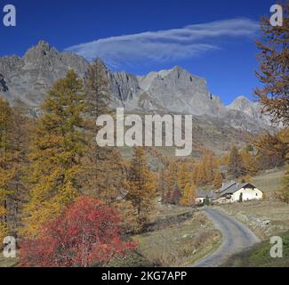 Francia, Hautes-Alpes, Névache, paesaggio in autunno, valle Clarée, Sito naturale classificato, massiccio di Cerces Foto Stock