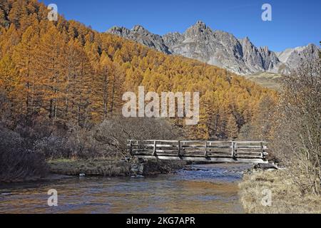 Francia, Hautes-Alpes, Névache, paesaggio in autunno, valle Clarée, Sito naturale classificato, ponte sulla Clarée Foto Stock