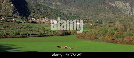 Francia, Hautes-Alpes Montmaur, villaggio ai piedi del massiccio del Devoluy, altopiano de Bure Foto Stock