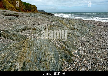 South Devon costa vicino a Slapton Sands Devon Regno Unito Foto Stock