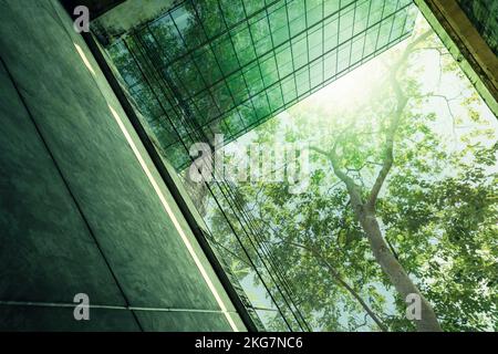 Edificio verde e di sostenibilità. Edificio ecologico nella città moderna. Edificio sostenibile in vetro per uffici con albero per ridurre il biossido di carbonio. Ufficio Foto Stock